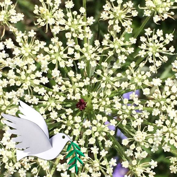 Meet your Posher, Lizzie - Picture 1 of 1